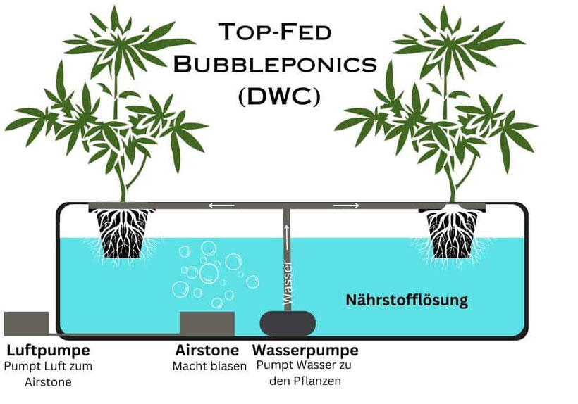DWC-Hydroponik-System