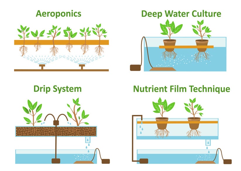 Hydroponik-System im Überblick