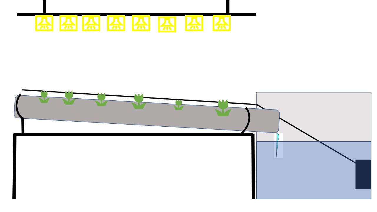 NFT-Hydroponik-System